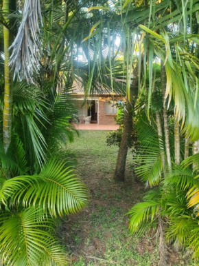 Whispering Palms